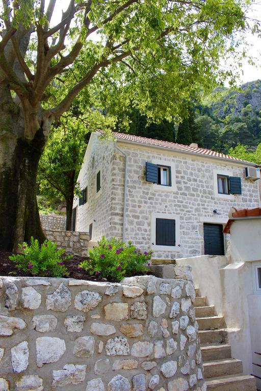 Villa Mima Kotor Kültér fotó