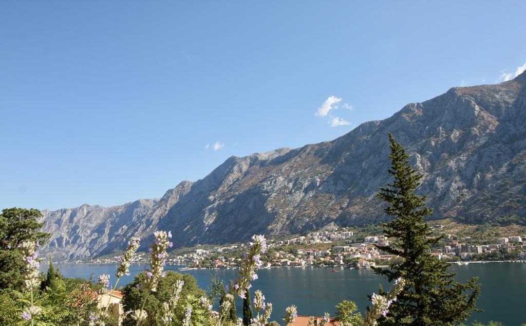 Villa Mima Kotor Kültér fotó